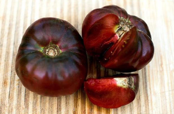 paradajz crni rus