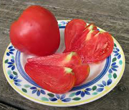 paradajz slatko srce