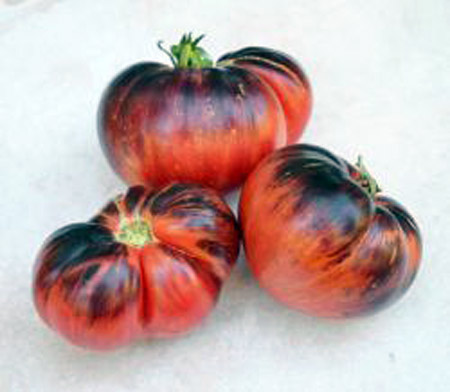 paradajz lovely lush
